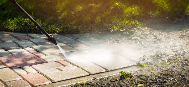 Best Rust Removal  in Raymond, IL